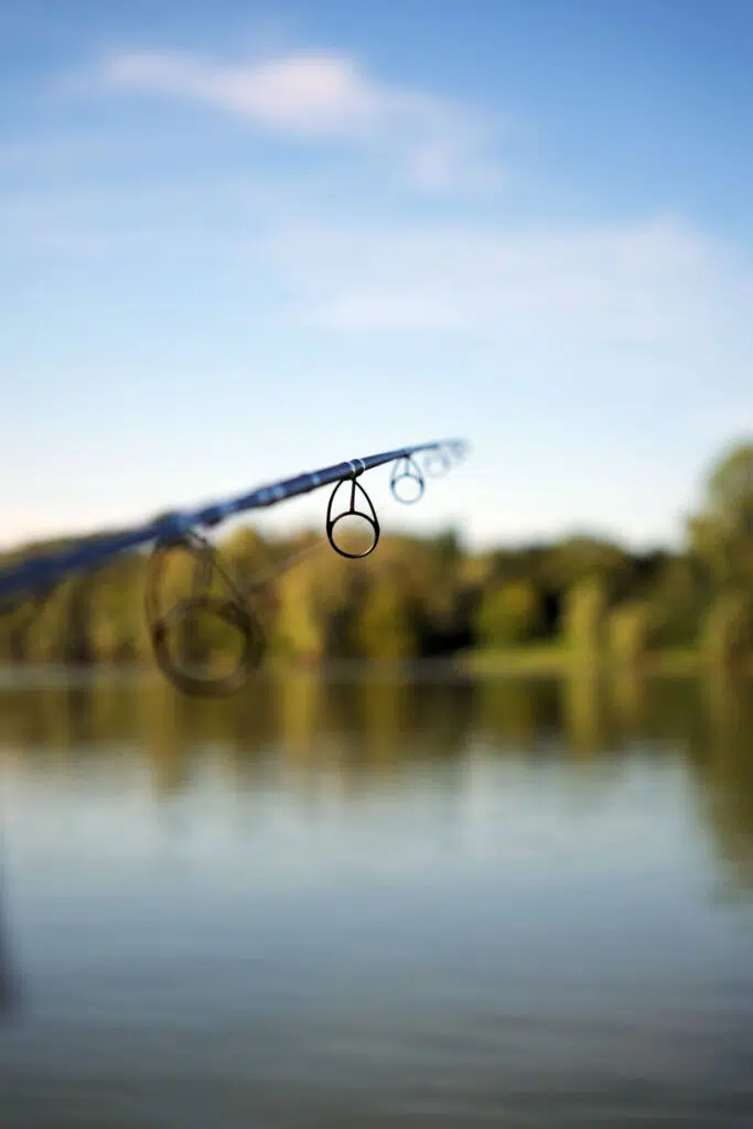 Canne à pêche pour la carpe