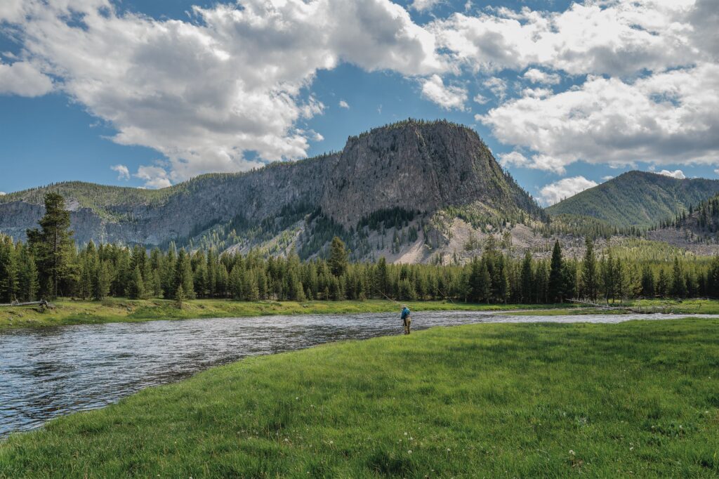 Livre Pheasant Tail Simplicity de Patagonia