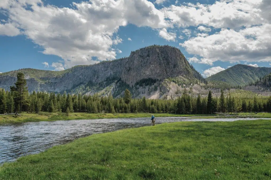 Livre Pheasant Tail Simplicity de Patagonia
