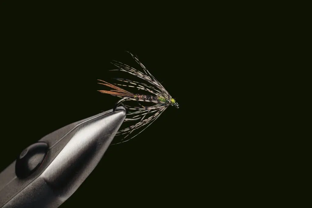 Livre Pheasant Tail Simplicity de Patagonia