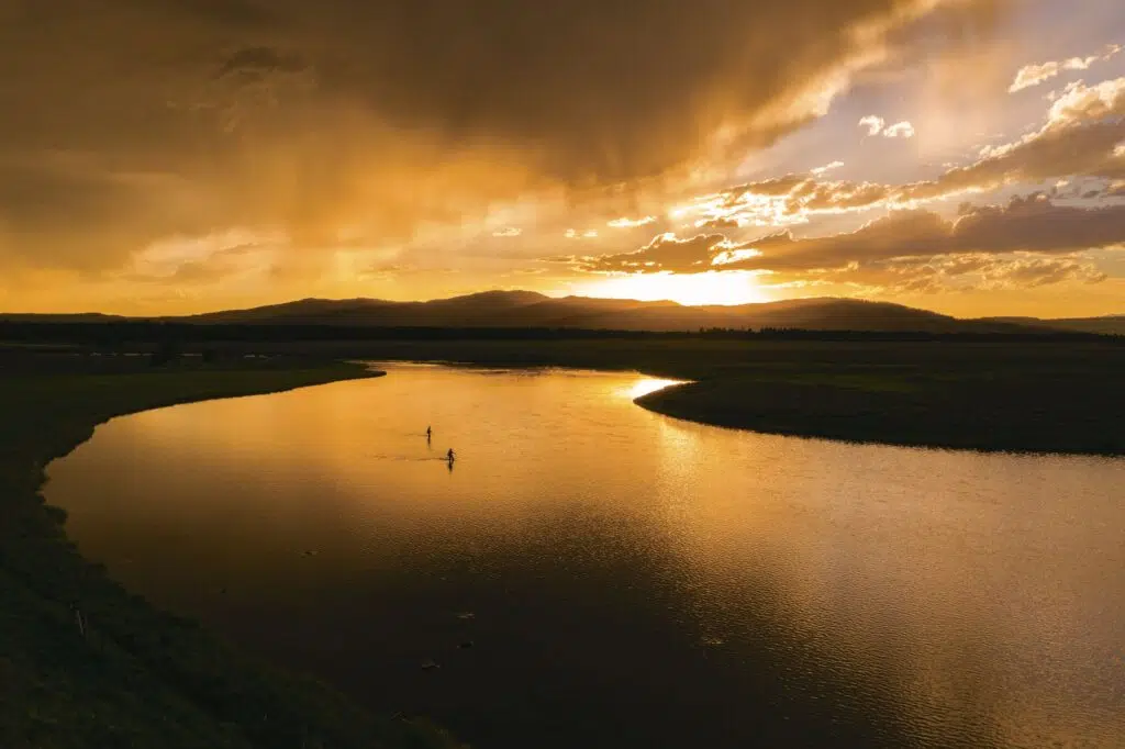 Livre Pheasant Tail Simplicity de Patagonia