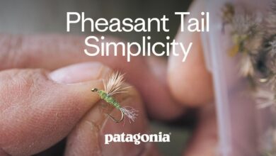 Pheasant Tail Simplicity : éloge de la simplicité de la pêche à la mouche par Patagonia 5 Livre Pheasant Tail Simplicity de Patagonia