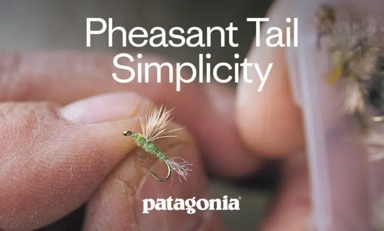 Livre Pheasant Tail Simplicity de Patagonia