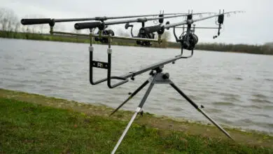 Le Carp’O revient chez Amiaud : focus sur le nouveau rod pod Carp’O R1 7 rod Pod Amiaud Carpo R1